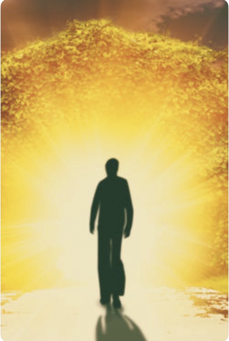 انسان جوړونه یا انسان سازی